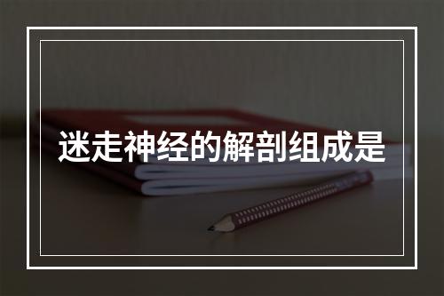 迷走神经的解剖组成是