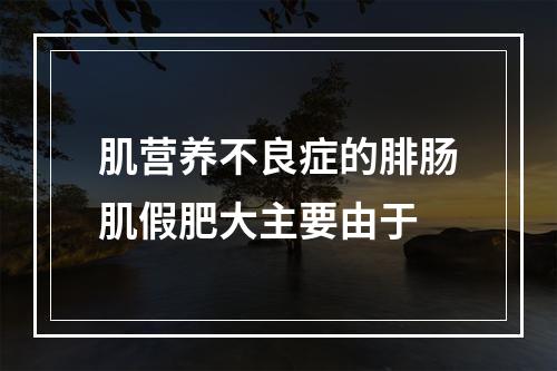 肌营养不良症的腓肠肌假肥大主要由于