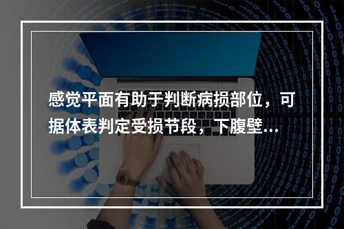 感觉平面有助于判断病损部位，可据体表判定受损节段，下腹壁反射