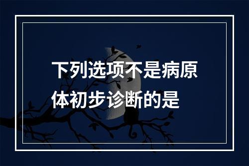 下列选项不是病原体初步诊断的是