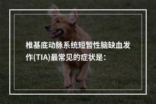 椎基底动脉系统短暂性脑缺血发作(TIA)最常见的症状是：