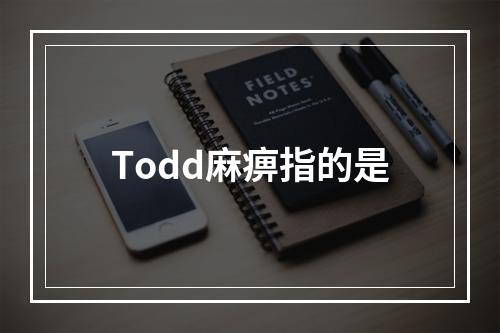 Todd麻痹指的是