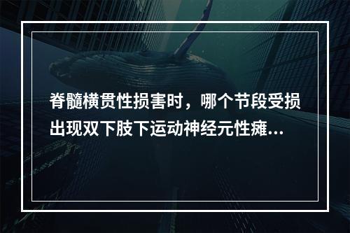 脊髓横贯性损害时，哪个节段受损出现双下肢下运动神经元性瘫，双