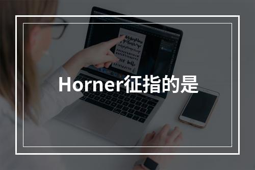 Horner征指的是