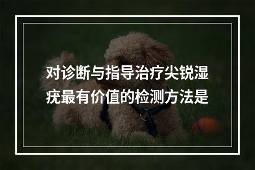 对诊断与指导治疗尖锐湿疣最有价值的检测方法是