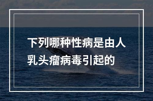 下列哪种性病是由人乳头瘤病毒引起的