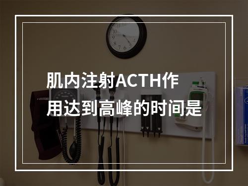 肌内注射ACTH作用达到高峰的时间是