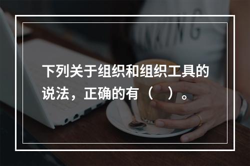 下列关于组织和组织工具的说法，正确的有（　）。