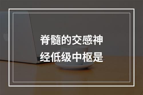 脊髓的交感神经低级中枢是