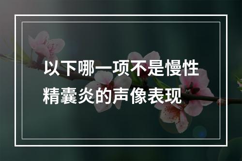 以下哪一项不是慢性精囊炎的声像表现