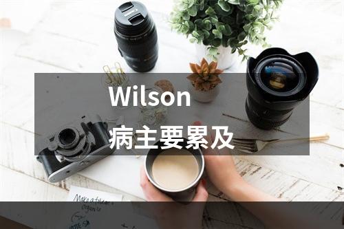 Wilson病主要累及