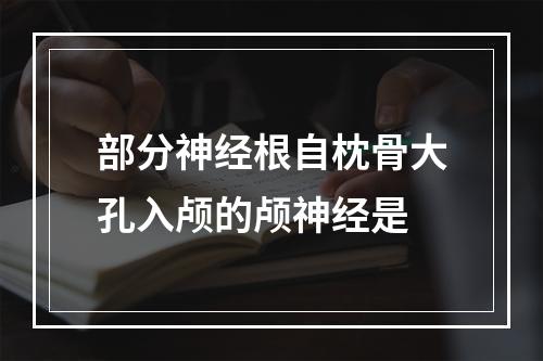 部分神经根自枕骨大孔入颅的颅神经是