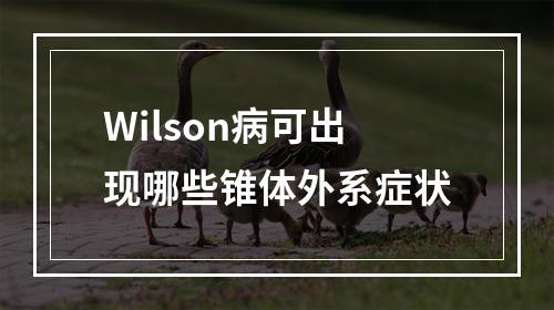 Wilson病可出现哪些锥体外系症状