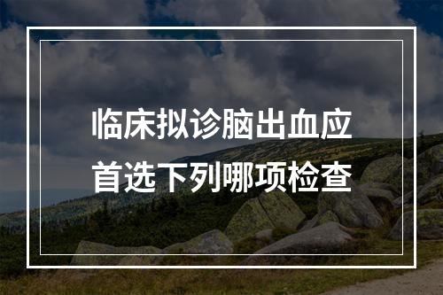 临床拟诊脑出血应首选下列哪项检查