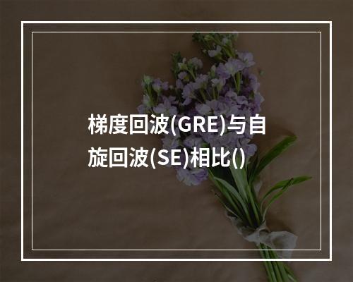 梯度回波(GRE)与自旋回波(SE)相比()