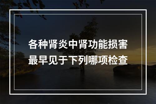 各种肾炎中肾功能损害最早见于下列哪项检查