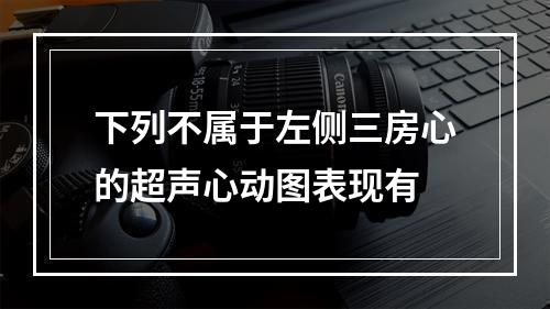 下列不属于左侧三房心的超声心动图表现有