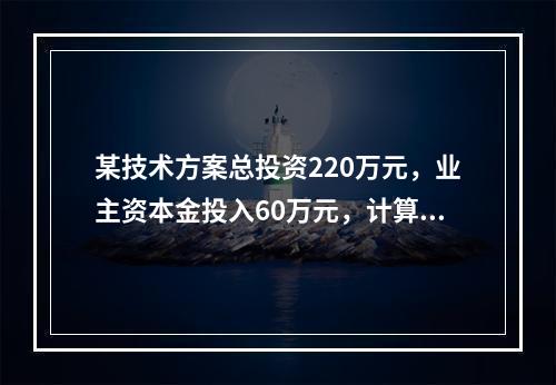 某技术方案总投资220万元，业主资本金投入60万元，计算期为