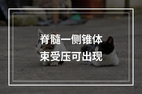 脊髓一侧锥体束受压可出现