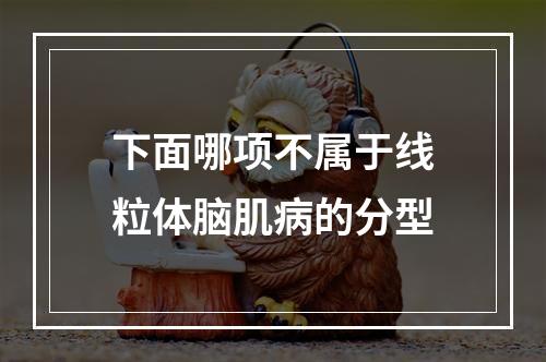 下面哪项不属于线粒体脑肌病的分型