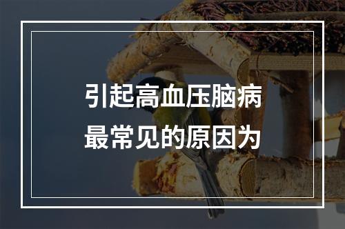 引起高血压脑病最常见的原因为