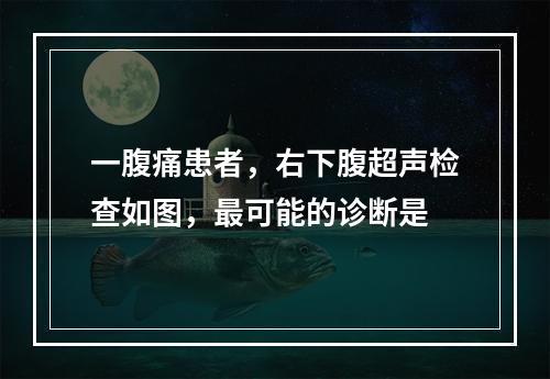 一腹痛患者，右下腹超声检查如图，最可能的诊断是