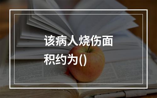 该病人烧伤面积约为()