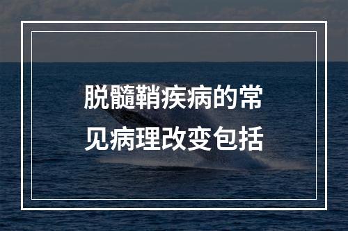 脱髓鞘疾病的常见病理改变包括