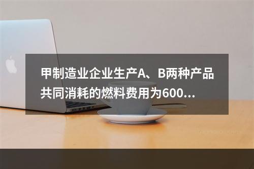 甲制造业企业生产A、B两种产品共同消耗的燃料费用为6000元