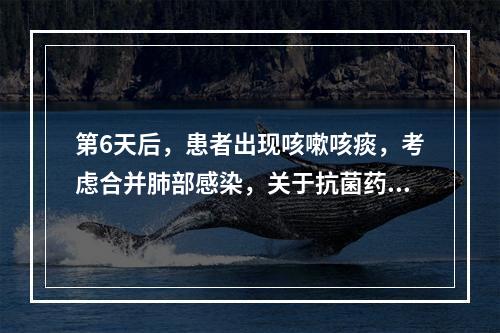 第6天后，患者出现咳嗽咳痰，考虑合并肺部感染，关于抗菌药物选