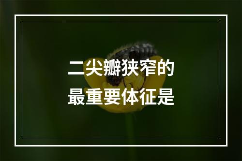 二尖瓣狭窄的最重要体征是