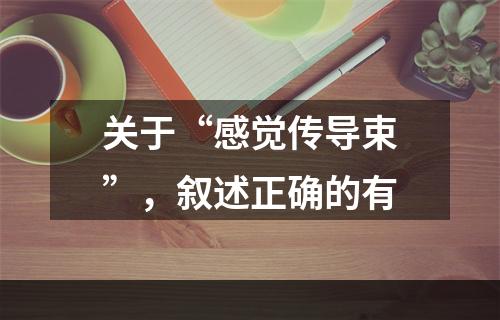 关于“感觉传导束”，叙述正确的有