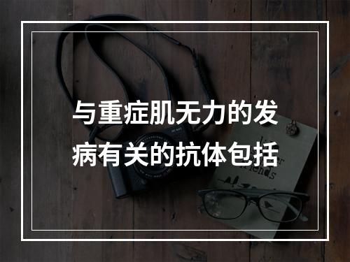 与重症肌无力的发病有关的抗体包括