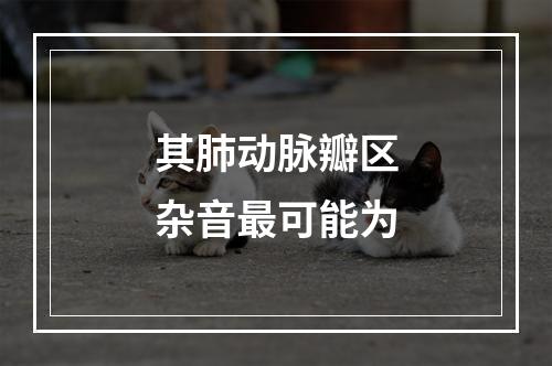 其肺动脉瓣区杂音最可能为