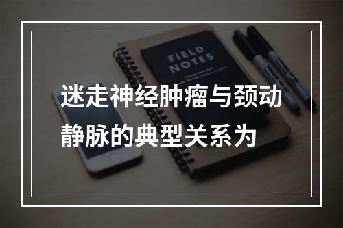 迷走神经肿瘤与颈动静脉的典型关系为