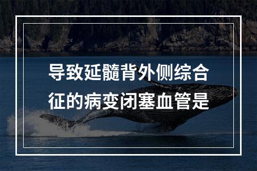 导致延髓背外侧综合征的病变闭塞血管是