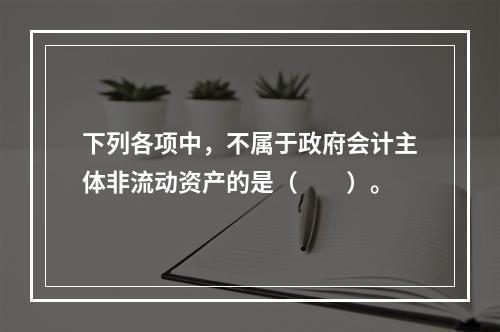 下列各项中，不属于政府会计主体非流动资产的是（　　）。