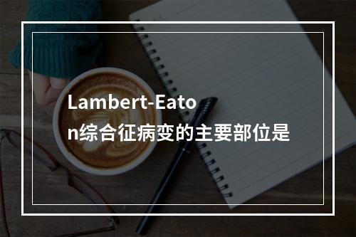 Lambert-Eaton综合征病变的主要部位是