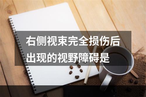 右侧视束完全损伤后出现的视野障碍是