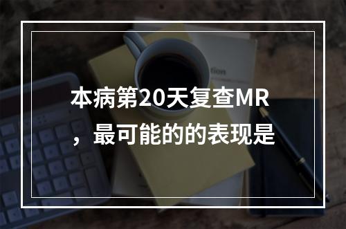 本病第20天复查MR，最可能的的表现是