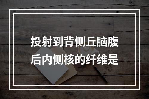 投射到背侧丘脑腹后内侧核的纤维是