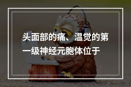 头面部的痛、温觉的第一级神经元胞体位于