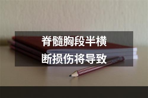 脊髓胸段半横断损伤将导致