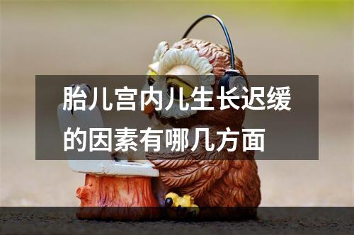 胎儿宫内儿生长迟缓的因素有哪几方面