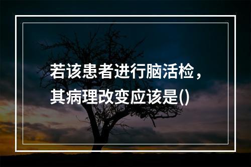 若该患者进行脑活检，其病理改变应该是()