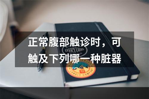 正常腹部触诊时，可触及下列哪一种脏器