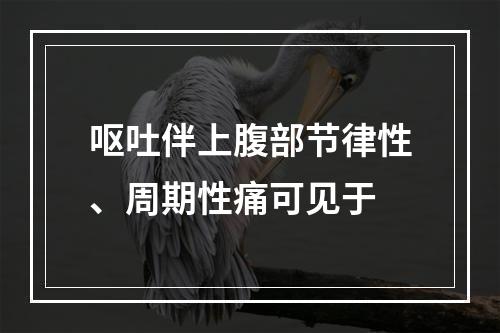 呕吐伴上腹部节律性、周期性痛可见于