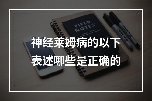 神经莱姆病的以下表述哪些是正确的