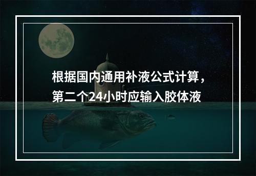 根据国内通用补液公式计算，第二个24小时应输入胶体液