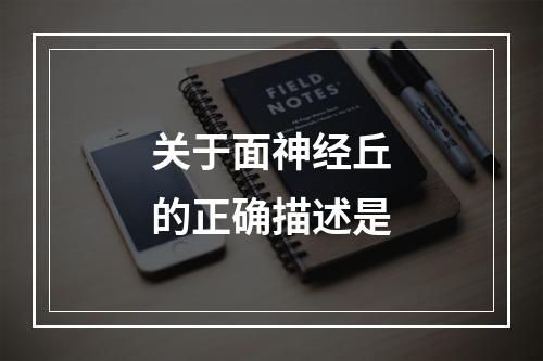 关于面神经丘的正确描述是